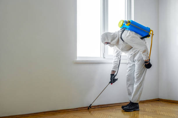 Professional Pest Control in Derby, CO